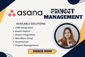 setup and design asana dashboard consultation asana va asana workflow audit