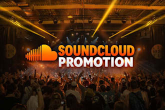 do quality organic soundcloud promotion for your tracks