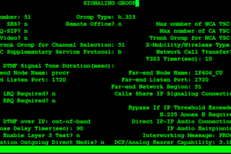 provide did number and sip trunk for inbound calling via