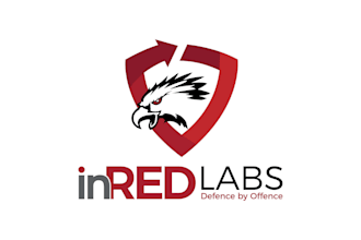 conduct professional web application penetration testing