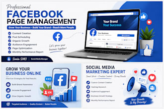 professionally manage and grow your facebook business page