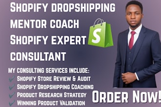 be your shopify dropshipping mentor coach shopify expert ecommerce consultant
