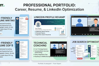 provide career coaching resume audits and linkedin growth