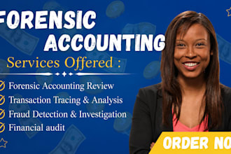 conduct fraud investigations, transaction tracing, evidence review, reporting
