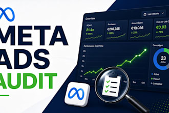 conduct a deep meta ads audit and facebook ads strategy