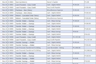 prepare journal entries, general ledger, and trial balance