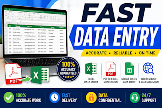provide 100 accurate data entry services with quick delivery