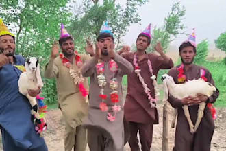 wish african happy birthday video or happy birthday video