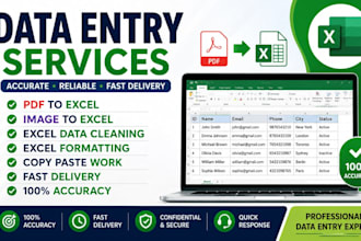 do data entry, PDF to excel, image to excel, excel data cleaning and formatting