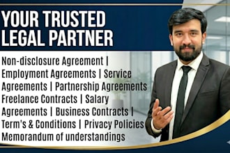 provide professional legal consultation and advice