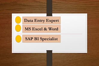do professional data entry and sap b1 data management excel