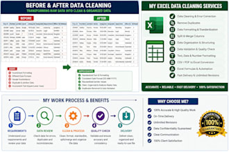 excel data cleaning, formatting, data organization