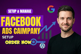 setup and manage facebook ads campaign, instagram ads, fb meta ad manager market