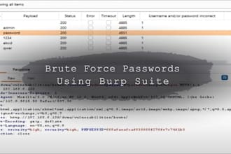 recover lost passwords from files, servers, or websites using secure brute force