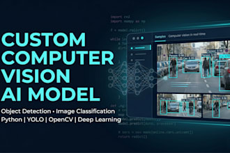 train a custom computer vision model