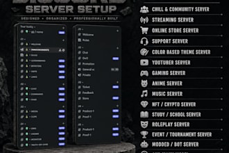 setup a professional custom discord server