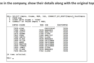 write sql queries, joins, subqueries and pl sql tasks