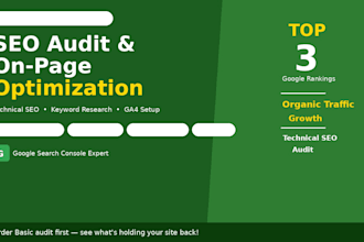 audit your website SEO to increase organic traffic
