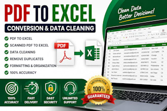convert PDF to excel and clean, organize data with accuracy