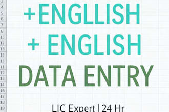 do fast and accurate data entry in excel, google sheets, PDF to excel