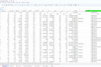 do expert data entry