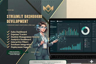 develop a professional streamlit dashboard and web app