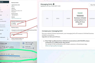 provide verified facebook bm 2k to 100k API limit for ads and bulk messages