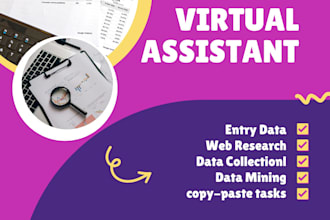 do accurate data entry, web research and administrative support