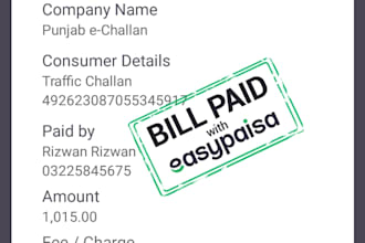 do accurate data  entry and  exel work