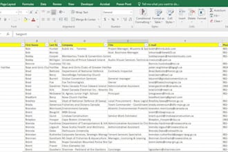 clean and organize your excel contact database professionally