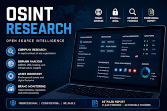 perform professional osint research and investigation