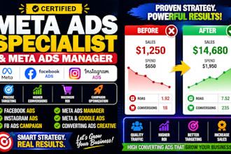 manage meta ads, facebook advertising and fb ads campaign