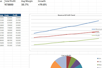 create a financial analysis report for your business
