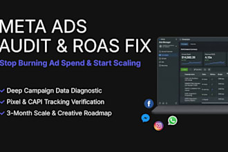 do a professional meta ads audit and strategy to scale roas