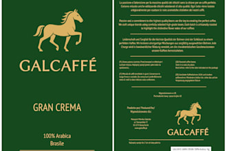 design professional flyers, brochures, posters and marketing materials