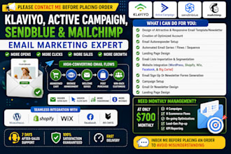 be your email marketing manager for klaviyo, email campaign,klaviyo manager