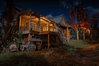 develop full redm server, premium scripts, maps and mlo, redm vorp