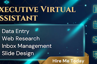 be your executive virtual assistant