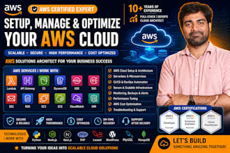 setup, manage and optimize your AWS cloud infrastructure as an AWS expert