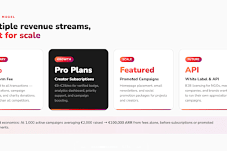 design a professional pitch deck or business presentation