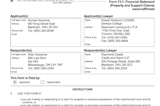 assist in drafting your family court documents