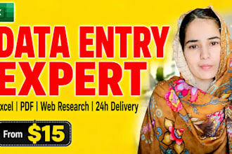 do professional data entry excel web research copy paste in 24h