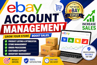 boost your ebay sales with expert account management