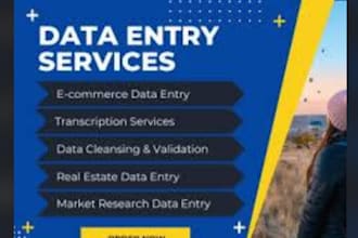 do efficient data entry and copy paste tasks for you