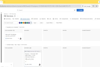 be your professional VA jira and salesforce support