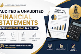 prepare audited and unaudited financial statements for singapore iras tax filing
