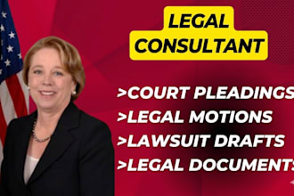 draft court pleadings and legal motions for your lawsuit