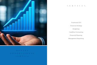 fractional cfo financial strategy budgeting forecasting