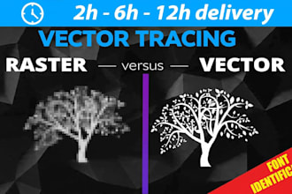 vectorize your low quality logo and identify any font from image