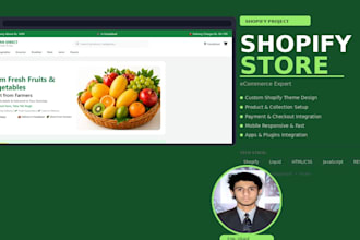 create a professional shopify store for your business